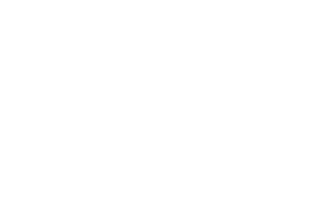 Salvo Logo